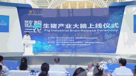 6月20日，2024世界智能产业博览会上，重庆“生猪产业大脑”正式上线发布。华龙网天津特派记者 陈洋 摄