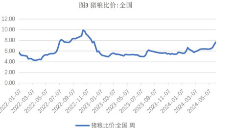 生猪价格涨幅收窄 玉米下方存有支撑