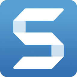 Snagit Portable19.1.1.4446