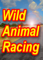 野生动物赛车(Wild Animal Racing)