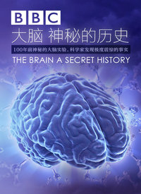 大脑之神秘的历史