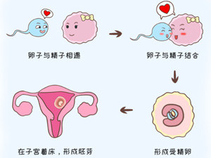 10张图告诉你，