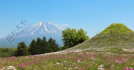 日本富士山图片