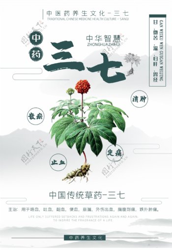 三七中药药材宣传海报素材