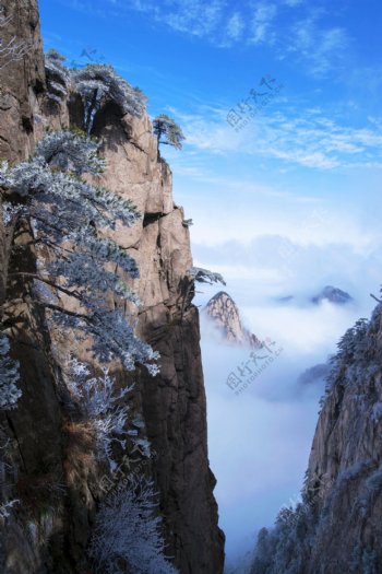 安徽黄山雪景树挂