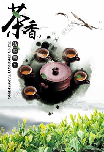 茶文化茶叶图片