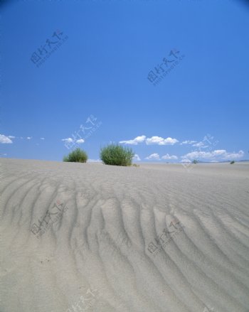 沙漠戈壁荒野遗迹