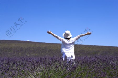 张开双臂站在薰衣草花田里的女人图片图片