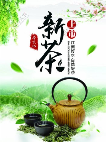 茶道茶文化茶叶素材采茶图片