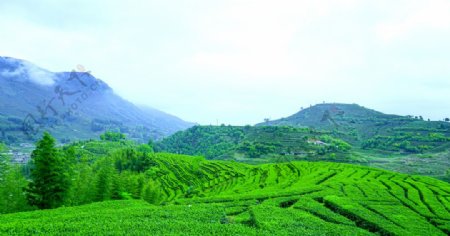 大自然风景摄影图片