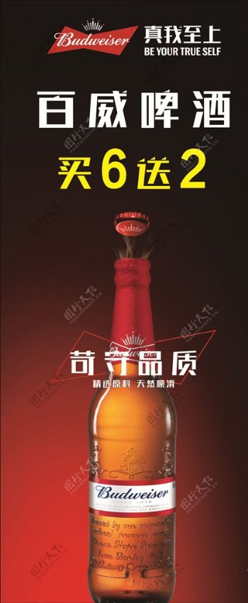 百威啤酒展架