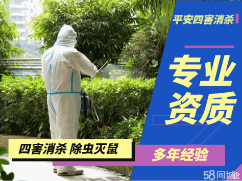 平安四害消杀·除虫丨灭老鼠食堂上门灭蟑螂、办公室消丨杀除丨四丨害居家防丨治