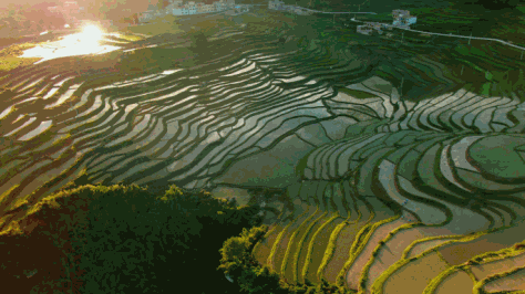 梯田4k多景别