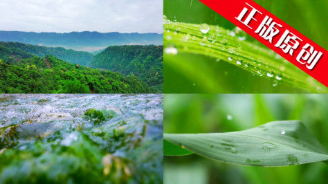 水大自然森林雨滴下雨河流山水农业风景水滴