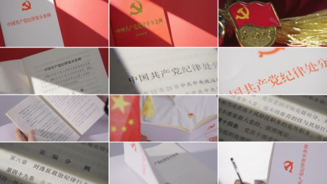 中国共产党纪律处分条例白本红本