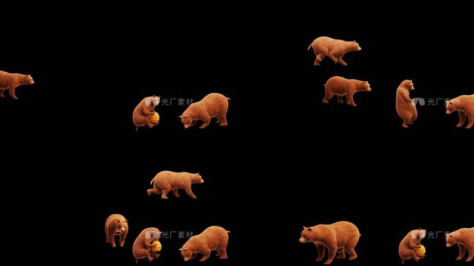 熊 棕熊 透明通道 原地动画 走路动画