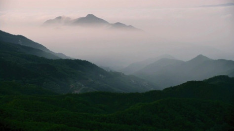 泰山云海日出直升机航拍粉色云霞水墨泰山