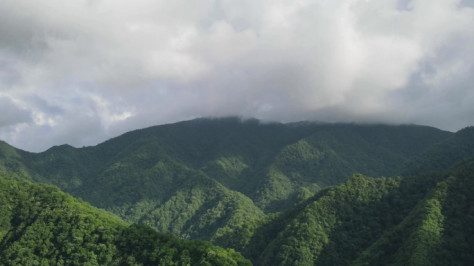 秦巴山深处的小村子