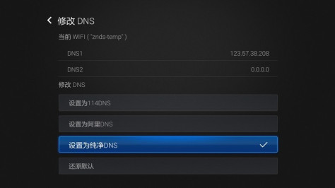 DNS优选TV版
