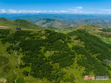 宕昌木耳乡：山乡锦绣“绘风景”