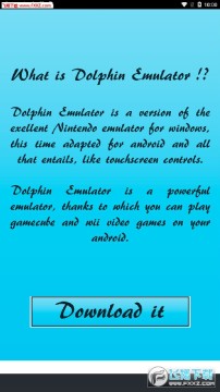 Dolphin Emulator安卓版