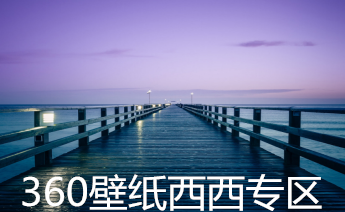 360壁纸