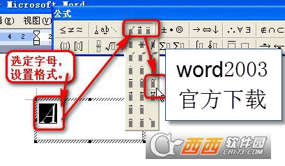 Word2003 绿色精简版