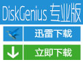 DiskGenius 专业版