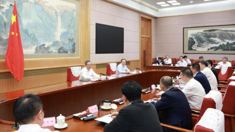 Chinese premier holds symposium on economic situation