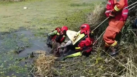 Firefighters rescue woman stuck in mud