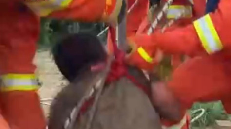 Villager rescued after falling into 6-meter deep well in Anhui