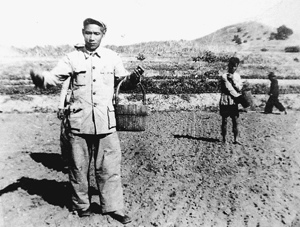 谷文昌同志1958年在东山县坑北村参加播种。新华社发