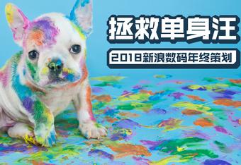 2018春节年终策划