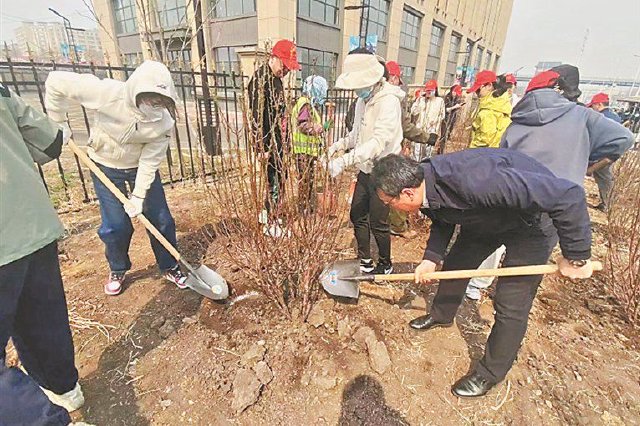 哈尔滨香坊区开展全民义务植树活动