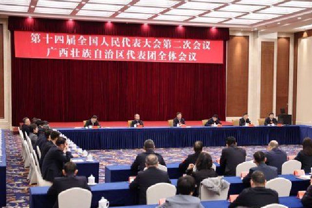 十四届全国人大二次会议广西代表团召开第二次全体会议 刘宁主