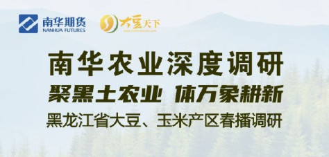 2024黑龙江省大豆、玉米产区春播调研—南华期货产业深度调研行（黑龙江站）