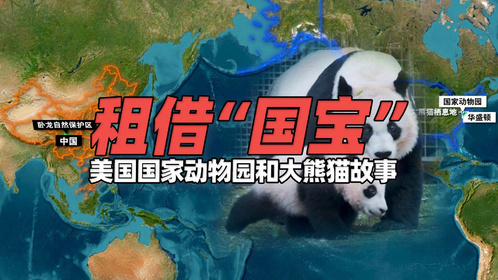美国华盛顿国家动物园和中国大熊猫故事，租借条件苛刻还得有钱养