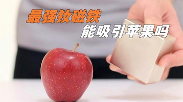 磁性最强的钕磁铁有多强？拿着它靠近苹果，苹果会被吸引吗