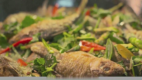 美味中国：这里放养的荷花鲤鱼，体色乌黑透亮，被称为乌鲤