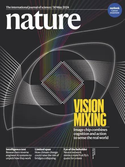 清华「天眸芯」登Nature封面：全球首款类脑互补视觉芯片