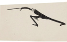《卡夫卡的卡夫卡》：他的画是打破了写作束缚的图像