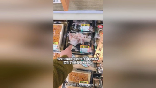 日本超市竟然有卖新鲜河豚鱼！买回去今天有大餐吃啦