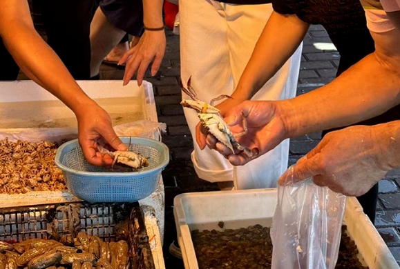 温州市场“第一网”梭子蟹上市，挑选攻略请收好