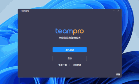 Teampro截图1