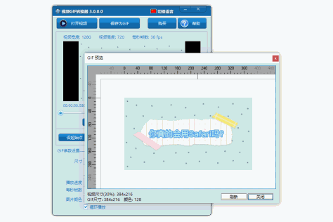 视频GIF转换截图3