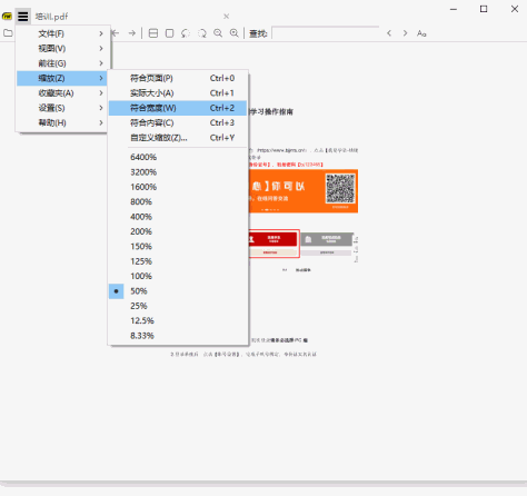 Sumatra PDF电脑版截图8