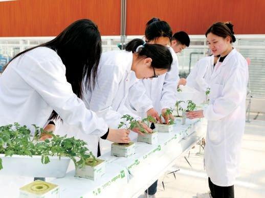 北京农学院学生在智能连栋温室开展专业实践