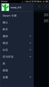 steam国际版