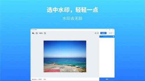 幂果去水印软件截图