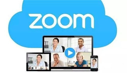 zoom截图